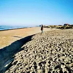 Mireille's Oostduinkerke