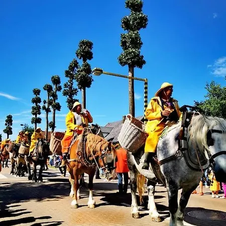 Hhvdk Aan Zee Appartamento *