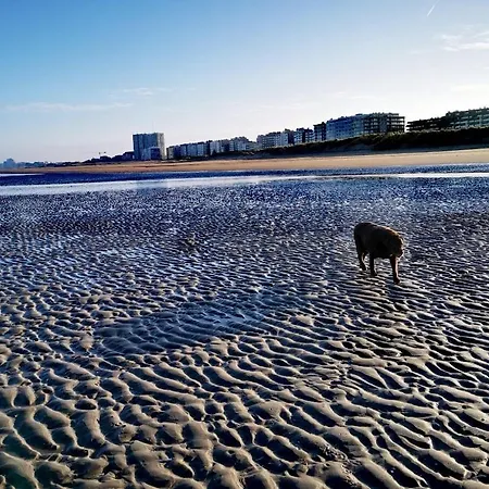 Hhvdk Aan Zee 아파트